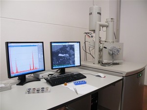 ANALISI MEDIANTE MICROSCOPIO ELETTRONICO A SCANSIONE